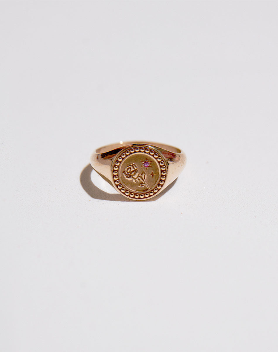 Gold filled sale signet ring