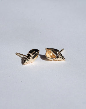 Conch Stud Earrings | Sterling Silver